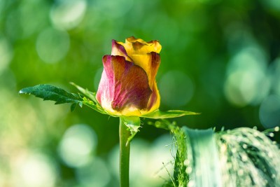Landschaft: Rainy Day
