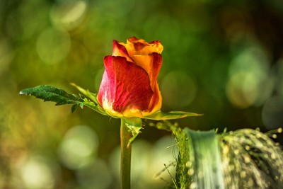 Landschaft: Sonnenuntergang