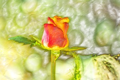 Zeichnung: Buntstifte 2