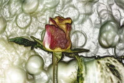 Zeichnung: Buntstifte