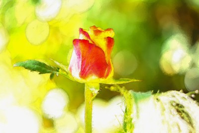 Zeichnung: Modern Art